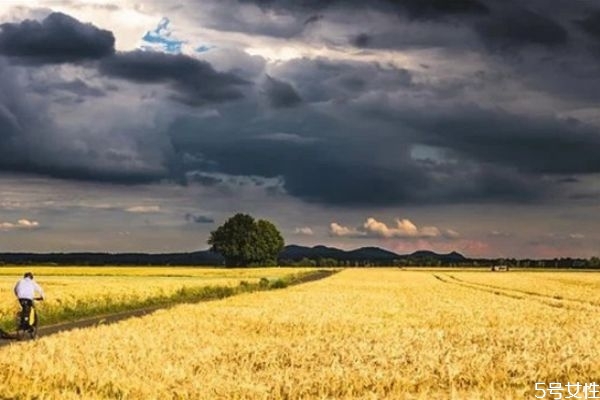 女人二婚后會(huì)怎么樣看待出軌的前夫 再婚后對(duì)前夫想法 女人二婚后會(huì)怎么樣看待出軌的前夫 再婚后對(duì)前夫想法