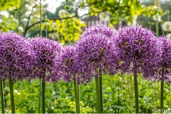 老公愛(ài)上了小三怎么辦 分離老公和小三的方法