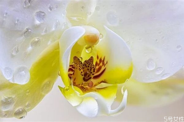 老公愛(ài)上了小三怎么辦 分離老公和小三的方法