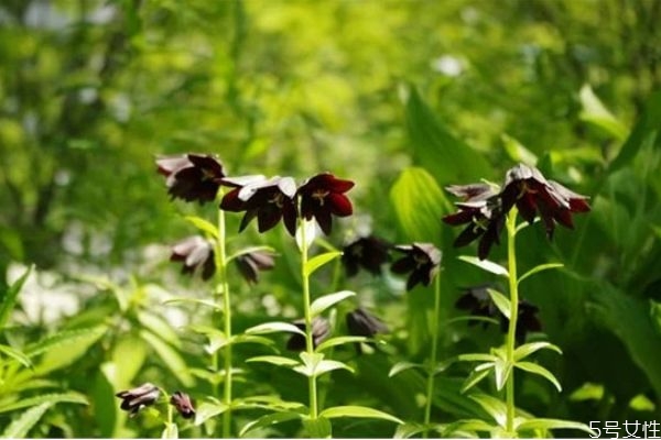 離婚后如何挽回感情 如何輕松的挽回對方的心 離婚后如何挽回感情 如何輕松的挽回對方的心