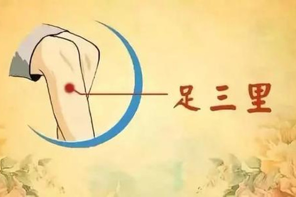 常灸足三里有哪些保健作用 灸足三里對下肢有什么好處