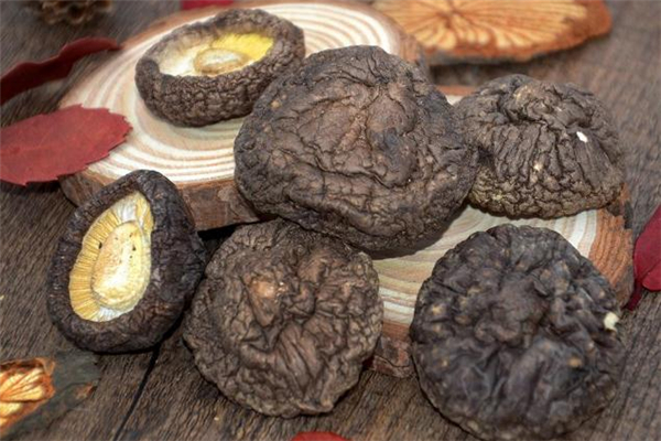 冬菇是香菇嗎 冬菇和香菇的區(qū)別 冬菇是香菇嗎 冬菇和香菇的區(qū)別