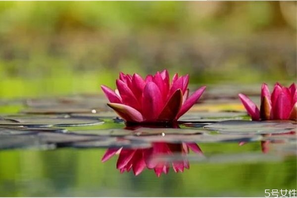 網(wǎng)上認(rèn)識的相親男怎么發(fā)展 網(wǎng)上相親的男人聊天不主動(dòng)