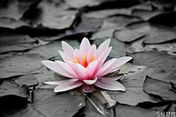 網(wǎng)上認(rèn)識的相親男怎么發(fā)展 網(wǎng)上相親的男人聊天不主動(dòng)