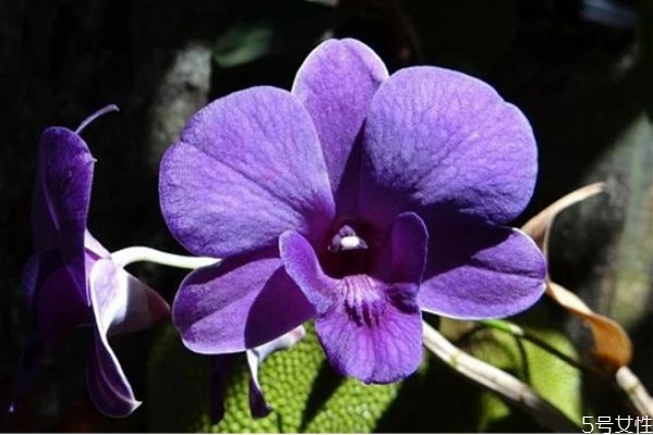 精神出軌怎么約束最好 感覺自己精神出軌了怎么辦 精神出軌怎么約束最好 感覺自己精神出軌了怎么辦