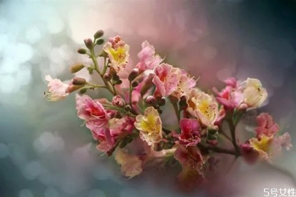 為什么結(jié)婚后一定要脫離原生家庭 結(jié)婚后與原生家庭關系 為什么結(jié)婚后一定要脫離原生家庭 結(jié)婚后與原生家庭關系