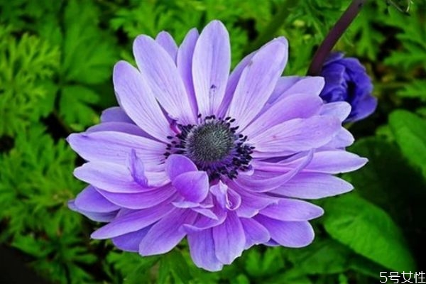 精神出軌可以被原諒嗎 精神和肉體出軌哪個不能原諒 精神出軌可以被原諒嗎 精神和肉體出軌哪個不能原諒