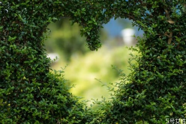 想你了怎么幽默回復 幽默回答別人想你了