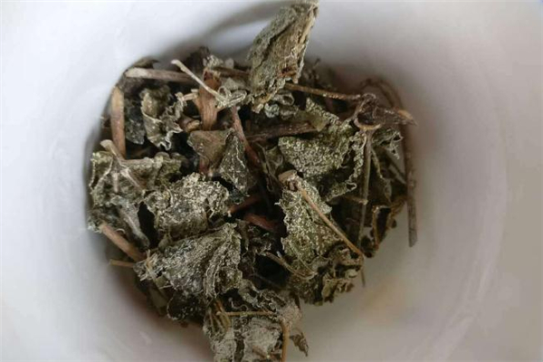 溪黃茶來月經(jīng)可以喝嗎 孕婦可以喝溪黃茶嗎