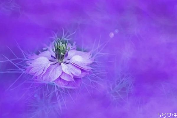 男朋友不愛你的細節(jié)表現(xiàn) 這些信號告訴你男友不愛你 男朋友不愛你的細節(jié)表現(xiàn) 這些信號告訴你男友不愛你