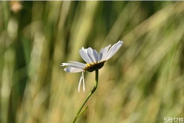 男朋友不愛你的細節(jié)表現(xiàn) 這些信號告訴你男友不愛你 男朋友不愛你的細節(jié)表現(xiàn) 這些信號告訴你男友不愛你