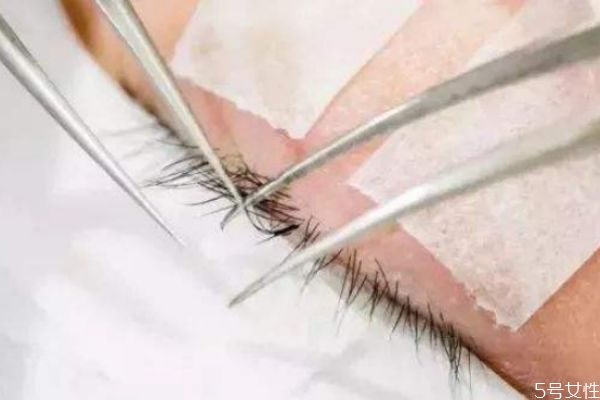 嫁接睫毛單根好還是開(kāi)花好 嫁接睫毛多長(zhǎng)10還是8