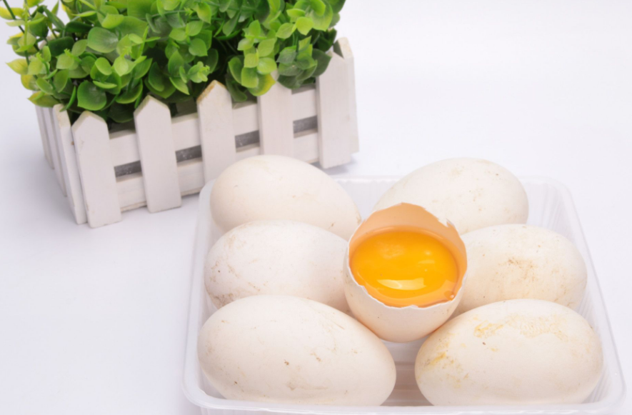 只吃鵝蛋清有營養(yǎng)嗎 鵝蛋清好還是黃好 只吃鵝蛋清有營養(yǎng)嗎 鵝蛋清好還是黃好