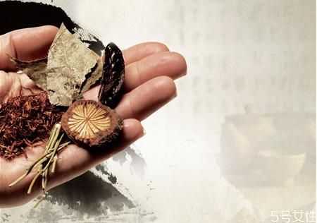 砂仁怎么挑選 砂仁吃多了會怎樣 砂仁怎么挑選 砂仁吃多了會怎樣