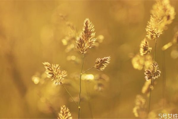 婚外情人一般誰(shuí)先放手 婚外情冷戰(zhàn)多久男人著急 婚外情人一般誰(shuí)先放手 婚外情冷戰(zhàn)多久男人著急