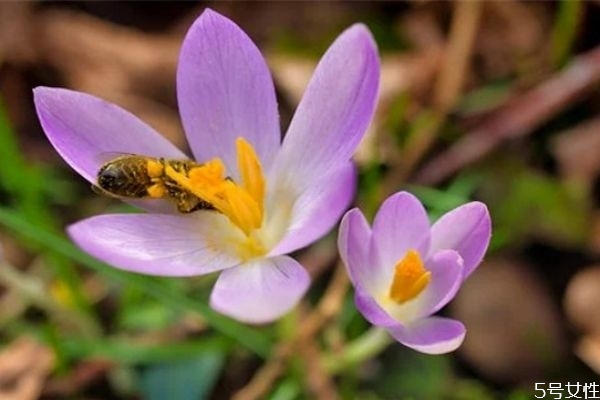 妻子出軌怎么讓丈夫徹底原諒 妻子出軌后應(yīng)該怎么做 妻子出軌怎么讓丈夫徹底原諒 妻子出軌后應(yīng)該怎么做