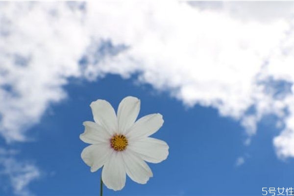 婚外情人一般誰(shuí)先放手 婚外情冷戰(zhàn)多久男人著急 婚外情人一般誰(shuí)先放手 婚外情冷戰(zhàn)多久男人著急