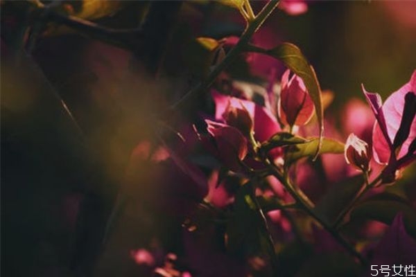 男人沖你發(fā)火代表什么 一個(gè)男人明確說(shuō)不愛(ài)你 男人沖你發(fā)火代表什么 一個(gè)男人明確說(shuō)不愛(ài)你