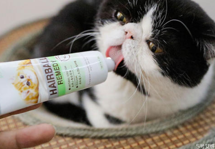貓營養(yǎng)膏多久喂一次 貓營養(yǎng)膏吃多了會(huì)怎樣