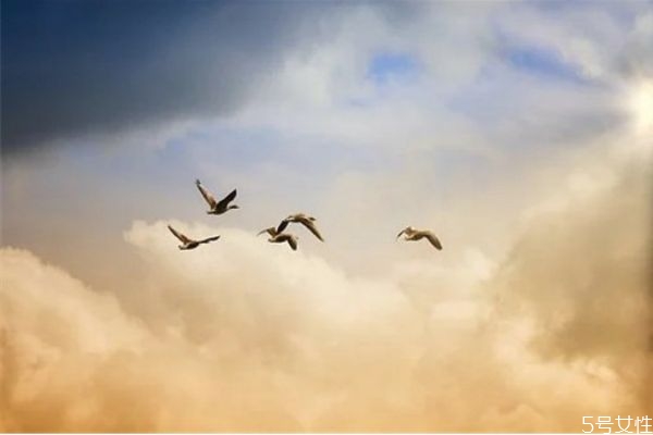 第一次約會(huì)遲到她讓我等半個(gè)小時(shí) 第一次約會(huì)遲到的女生 第一次約會(huì)遲到她讓我等半個(gè)小時(shí) 第一次約會(huì)遲到的女生