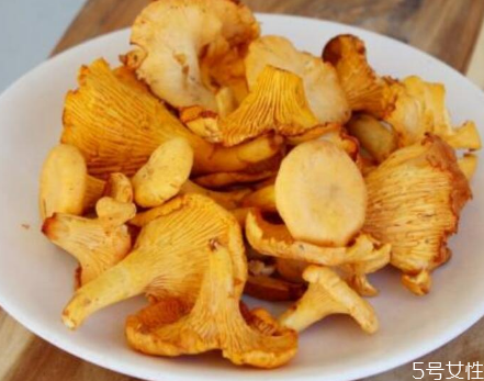 雞油菌的毒性大嗎 食用雞油菌的注意事項 雞油菌的毒性大嗎 食用雞油菌的注意事項