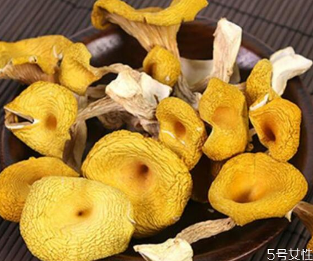 雞油菌的毒性大嗎 食用雞油菌的注意事項 雞油菌的毒性大嗎 食用雞油菌的注意事項