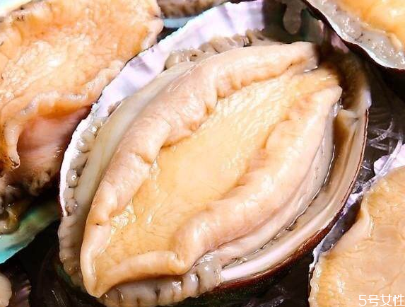 鮑魚放冷凍還是冷藏 鮑魚可以隔夜吃嗎 鮑魚放冷凍還是冷藏 鮑魚可以隔夜吃嗎