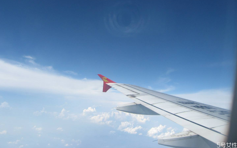 飛機(jī)上能帶熟食肉類(lèi)嗎 飛機(jī)上哪些食品不能帶