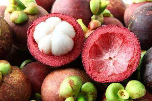 山竹可以減肥嗎 減肥期間吃山竹會(huì)長胖嗎