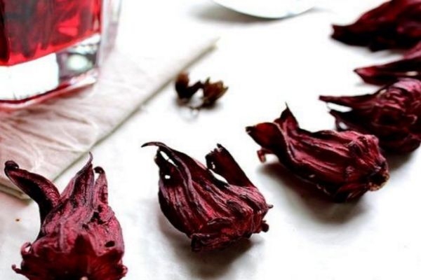 洛神花怎么吃 洛神花孕婦可以喝嗎 洛神花怎么吃 洛神花孕婦可以喝嗎