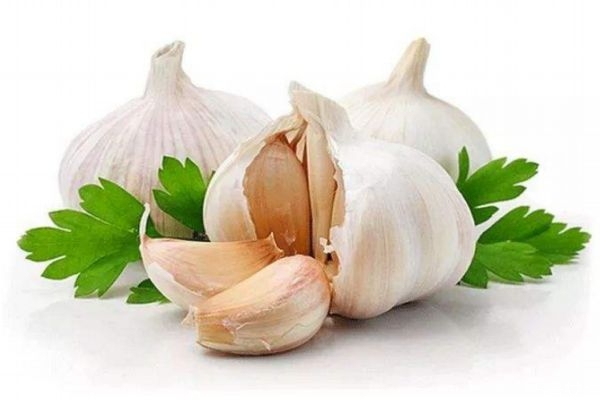 大蒜怎么種 怎樣種蒜的正確過(guò)程 大蒜怎么種 怎樣種蒜的正確過(guò)程