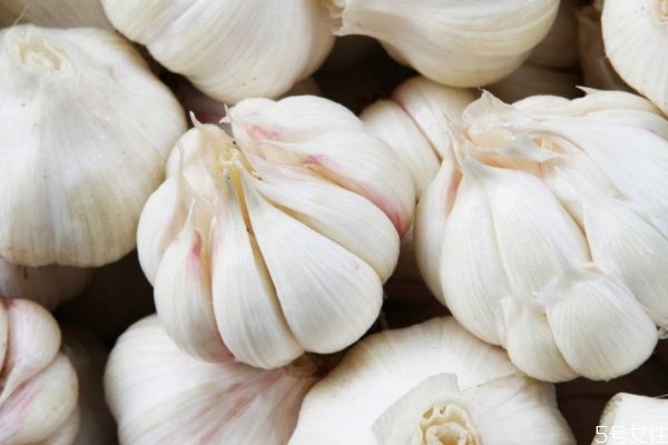 大蒜怎么種 怎樣種蒜的正確過(guò)程 大蒜怎么種 怎樣種蒜的正確過(guò)程