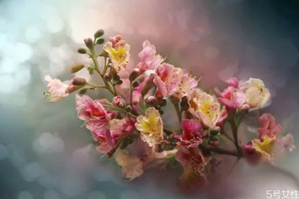 拒絕過(guò)的男生還能挽回么 男生放棄后還會(huì)回頭嗎 拒絕過(guò)的男生還能挽回么 男生放棄后還會(huì)回頭嗎