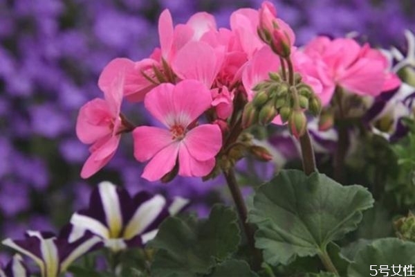 為什么男朋友總說(shuō)自己沒(méi)本事 男人在女人面前自卑的表現(xiàn)