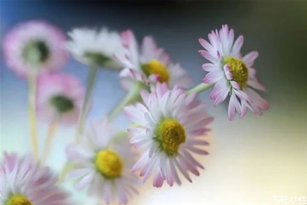 為什么男朋友總說(shuō)自己沒(méi)本事 男人在女人面前自卑的表現(xiàn)