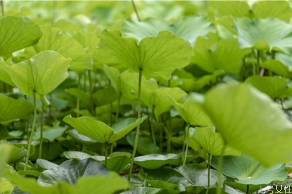 新婚夫妻長期分居兩地怎么辦 分居怎么挽救婚姻 新婚夫妻長期分居兩地怎么辦 分居怎么挽救婚姻