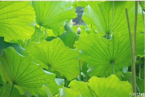 長(zhǎng)期分居后女人出軌的表現(xiàn) 女人精神出軌會(huì)有哪些表現(xiàn) 長(zhǎng)期分居后女人出軌的表現(xiàn) 女人精神出軌會(huì)有哪些表現(xiàn)