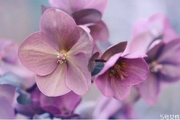 為什么男朋友總說(shuō)自己沒(méi)本事 男人在女人面前自卑的表現(xiàn)