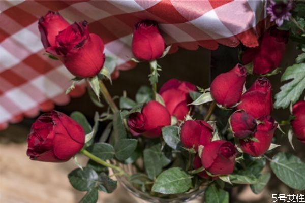 老婆愛生氣怎么辦 老婆愛發(fā)脾氣是什么原因 老婆愛生氣怎么辦 老婆愛發(fā)脾氣是什么原因