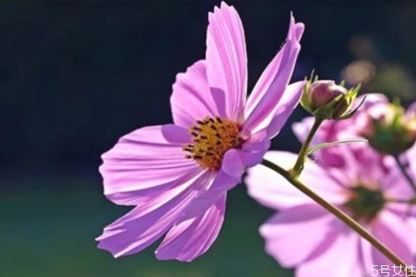 男人死心的表現(xiàn)有哪些 男人這幾個(gè)表現(xiàn)是在等你說(shuō)分手