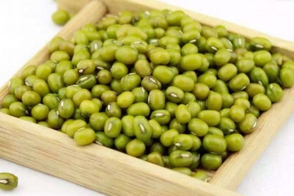 如何保存綠豆 綠豆長期保存的方法 如何保存綠豆 綠豆長期保存的方法