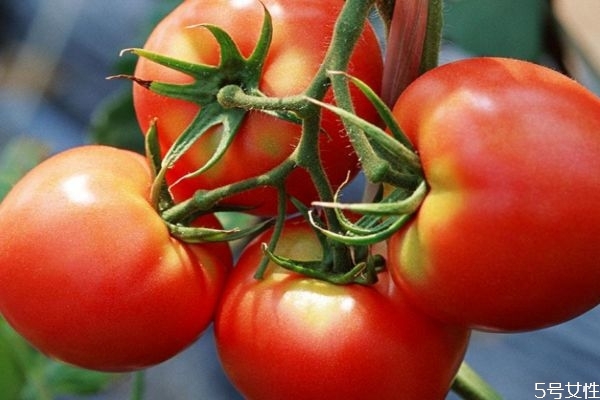 西紅柿如何去皮 番茄去皮開(kāi)水燙多久 西紅柿如何去皮 番茄去皮開(kāi)水燙多久