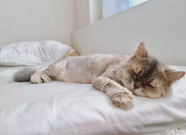 晚上睡覺抽搐是什么原因 身體突然抖一下子 晚上睡覺抽搐是什么原因 身體突然抖一下子