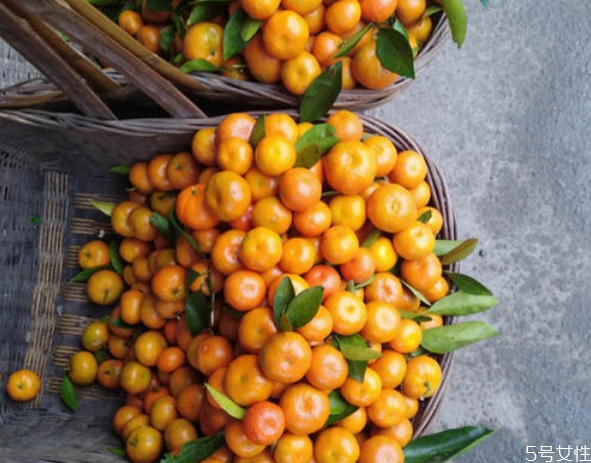 金錢(qián)橘一天可以吃幾個(gè) 金錢(qián)橘上火還是降火 金錢(qián)橘一天可以吃幾個(gè) 金錢(qián)橘上火還是降火