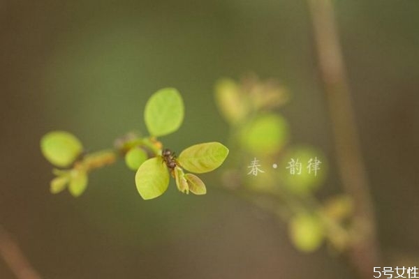 沒躲春怎么辦 2021年什么人需要躲春 沒躲春怎么辦 2021年什么人需要躲春