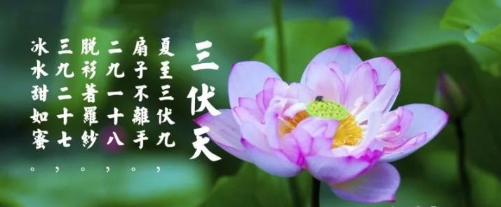 三伏天是什么？三伏天應(yīng)注意什么？