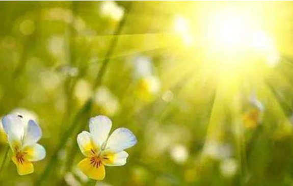 上午幾點(diǎn)曬背補(bǔ)陽氣 上午幾點(diǎn)曬太陽可以補(bǔ)陽氣