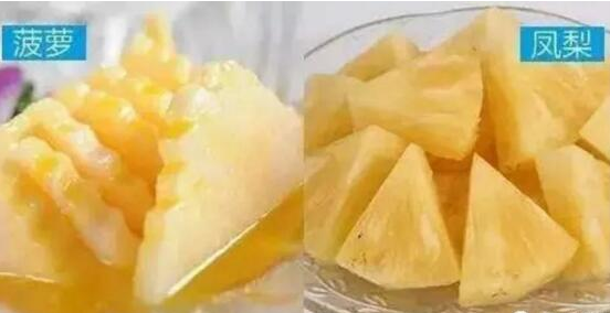 菠蘿和鳳梨的區(qū)別,六個(gè)方面教你如何區(qū)分 菠蘿和鳳梨的區(qū)別,六個(gè)方面教你如何區(qū)分