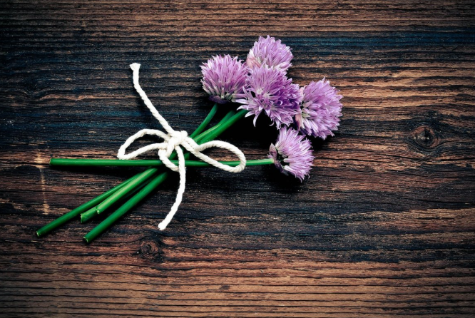 春韭的功效 春韭菜的營養(yǎng)價(jià)值 春韭的功效 春韭菜的營養(yǎng)價(jià)值