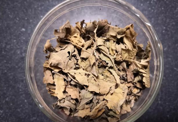 喝桑葉茶能減肥嗎?有什么副作用？